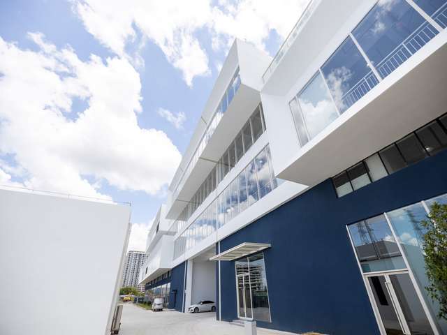 江苏小型单饼机批发厂家