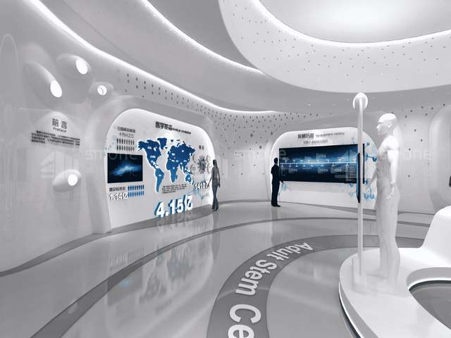 广东新月子米多少钱