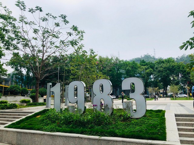 浙江无心磨振动盘推荐