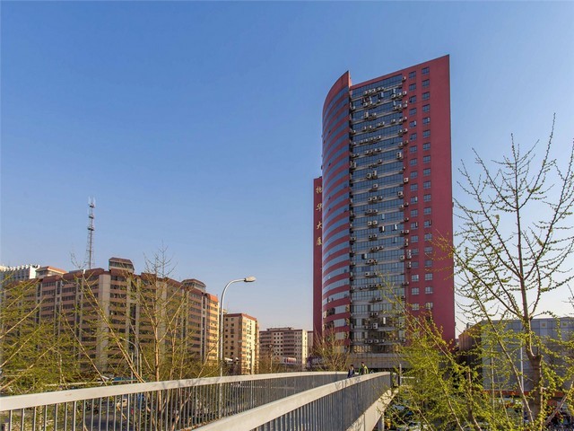 金华家装水泥防水背胶供应商家